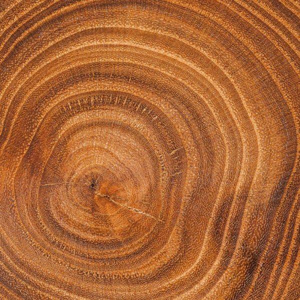 Hornbeam