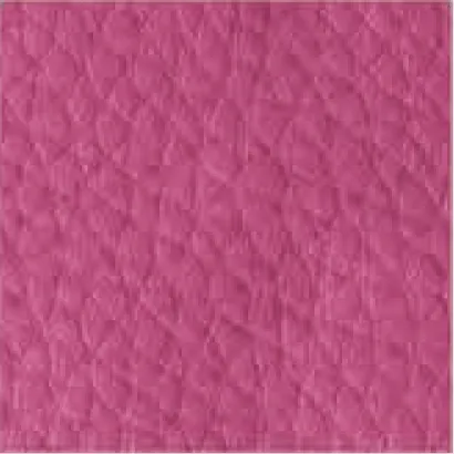 Leather-210