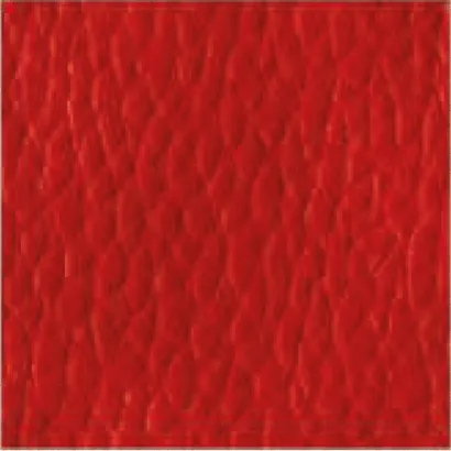 Leather-220