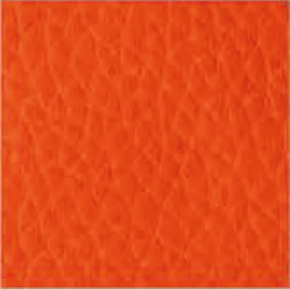 Leather-250