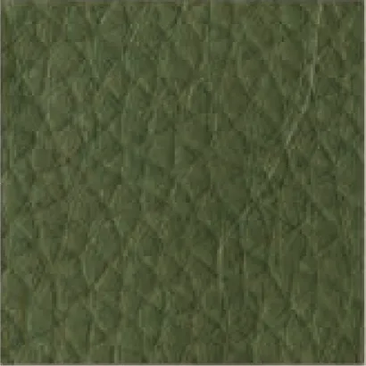 Leather-425