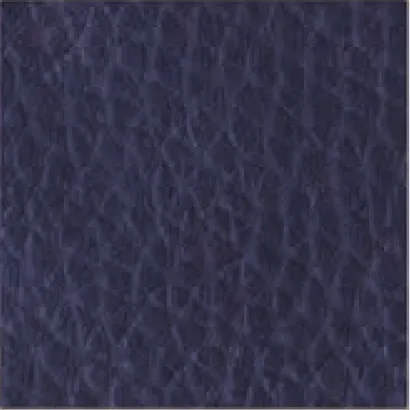 Leather-570