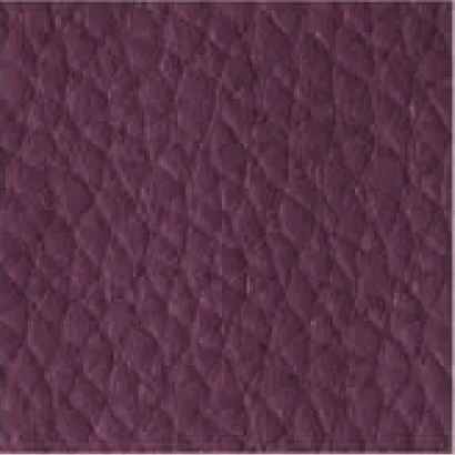 Leather-580