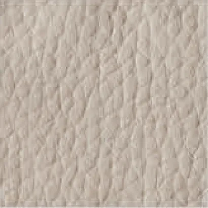 Leather-605