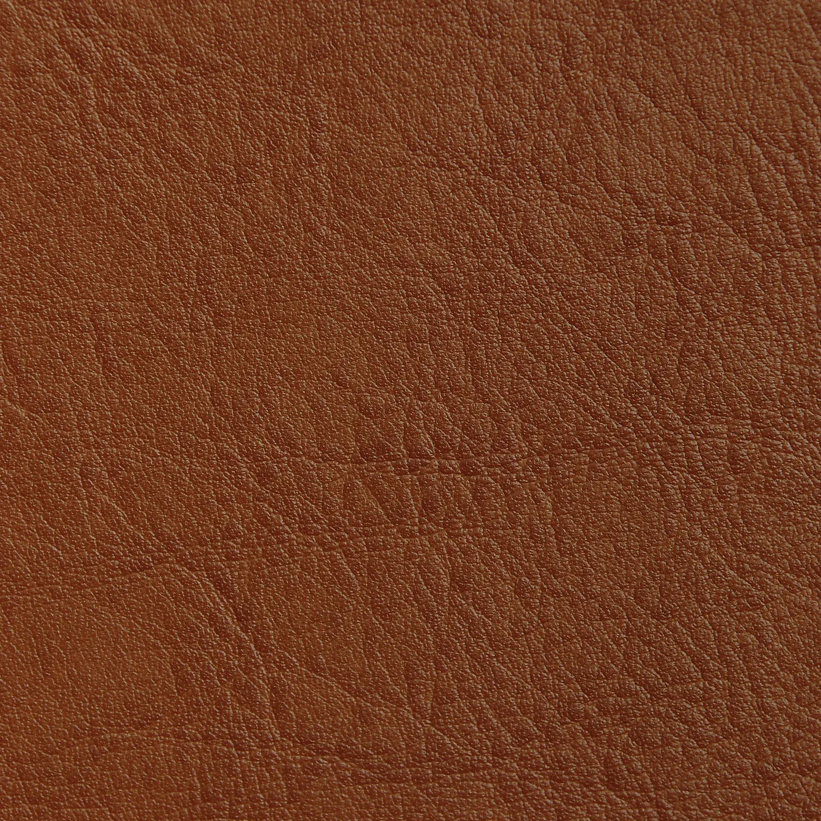 Nergis-305